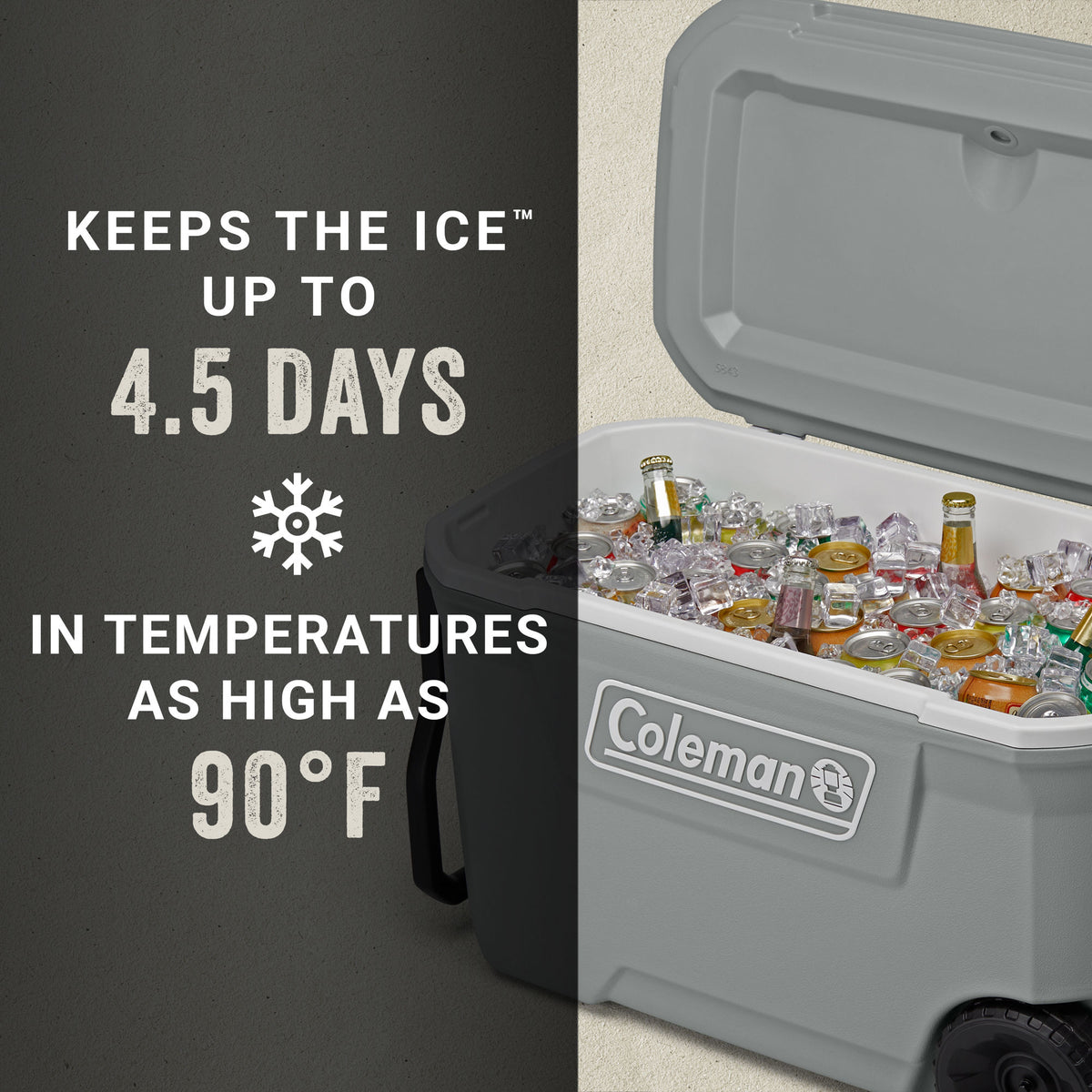 316 Series 62-Quart Hard Cooler