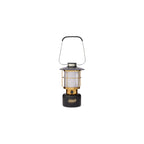 1900 Collection 600 Lumen LED Lantern