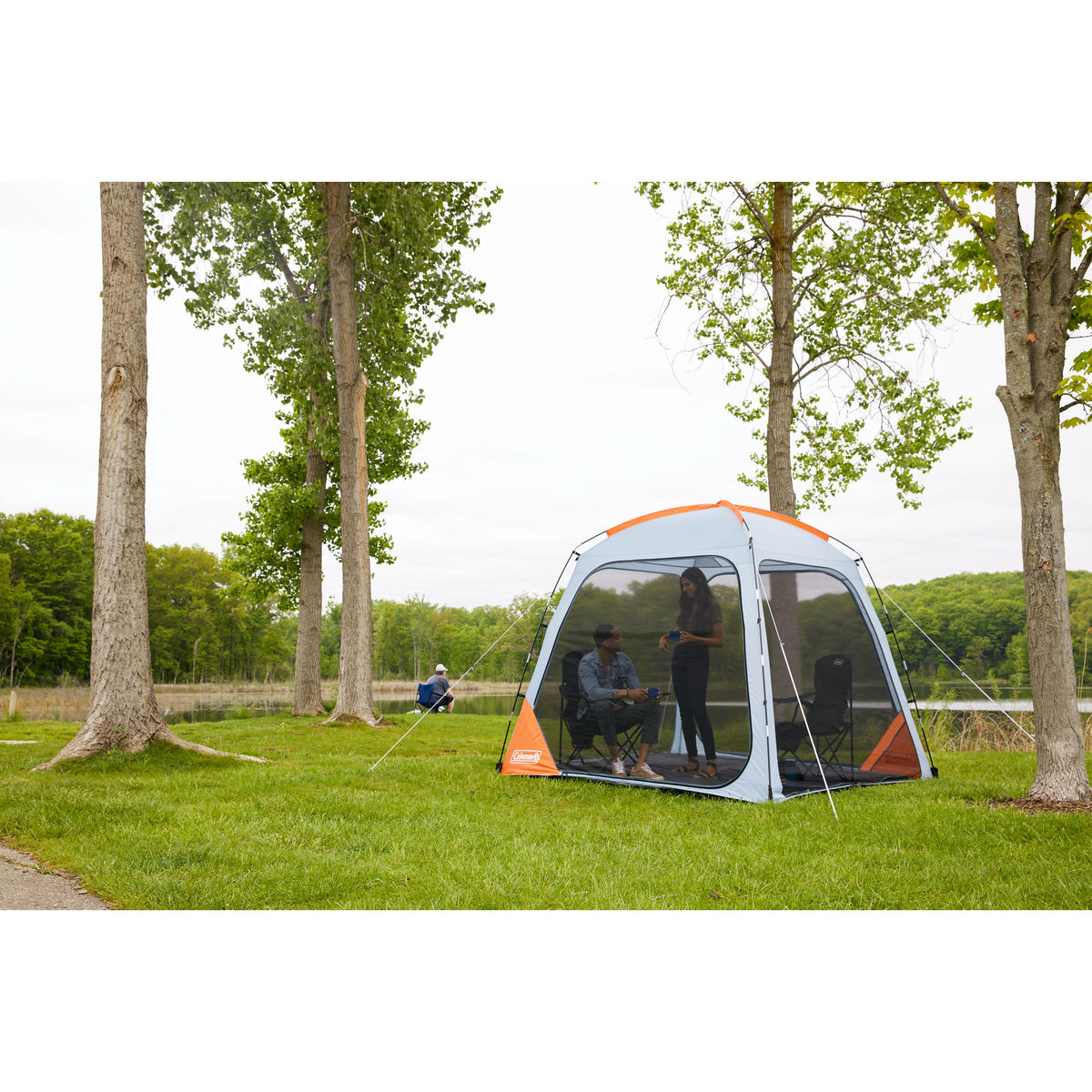 Skyshade 8 x 8 ft. Screen Dome Canopy