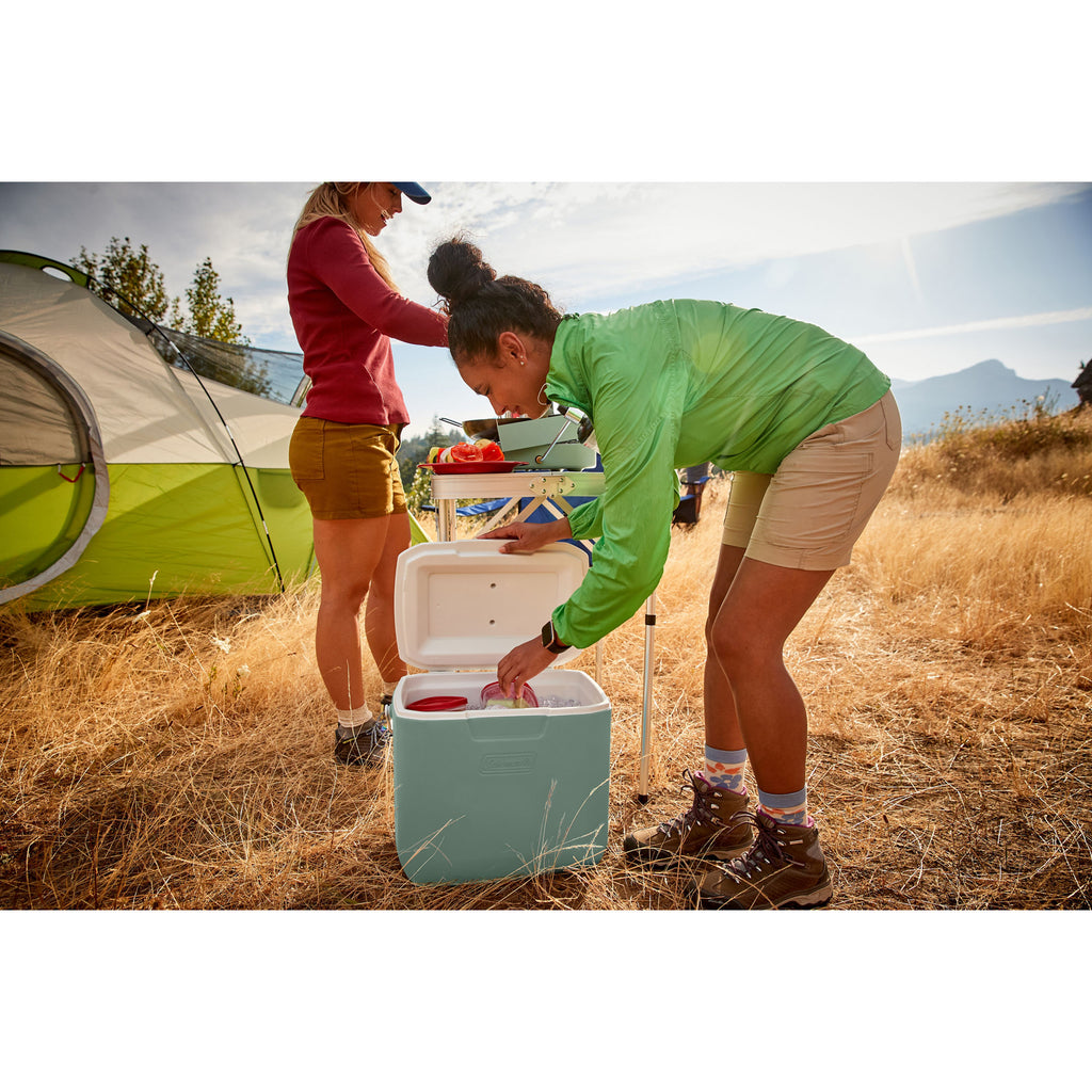 Coleman Chiller 30-Quart Hard Cooler, 28.4-Litre Portable Beach and Ice Chest Camping Cooler, Hickory Moss