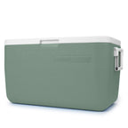 Coleman Chiller 48-Quart Hard Cooler, 45.4-Litre Portable Beach and Ice Chest Camping Cooler, Hickory Moss