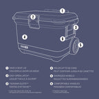 Coleman Pro 55-Quart Hard Cooler, Blue Sky