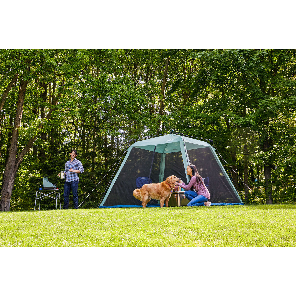 Skylodge 10 x 10 ft. Instant Screen Canopy Tent